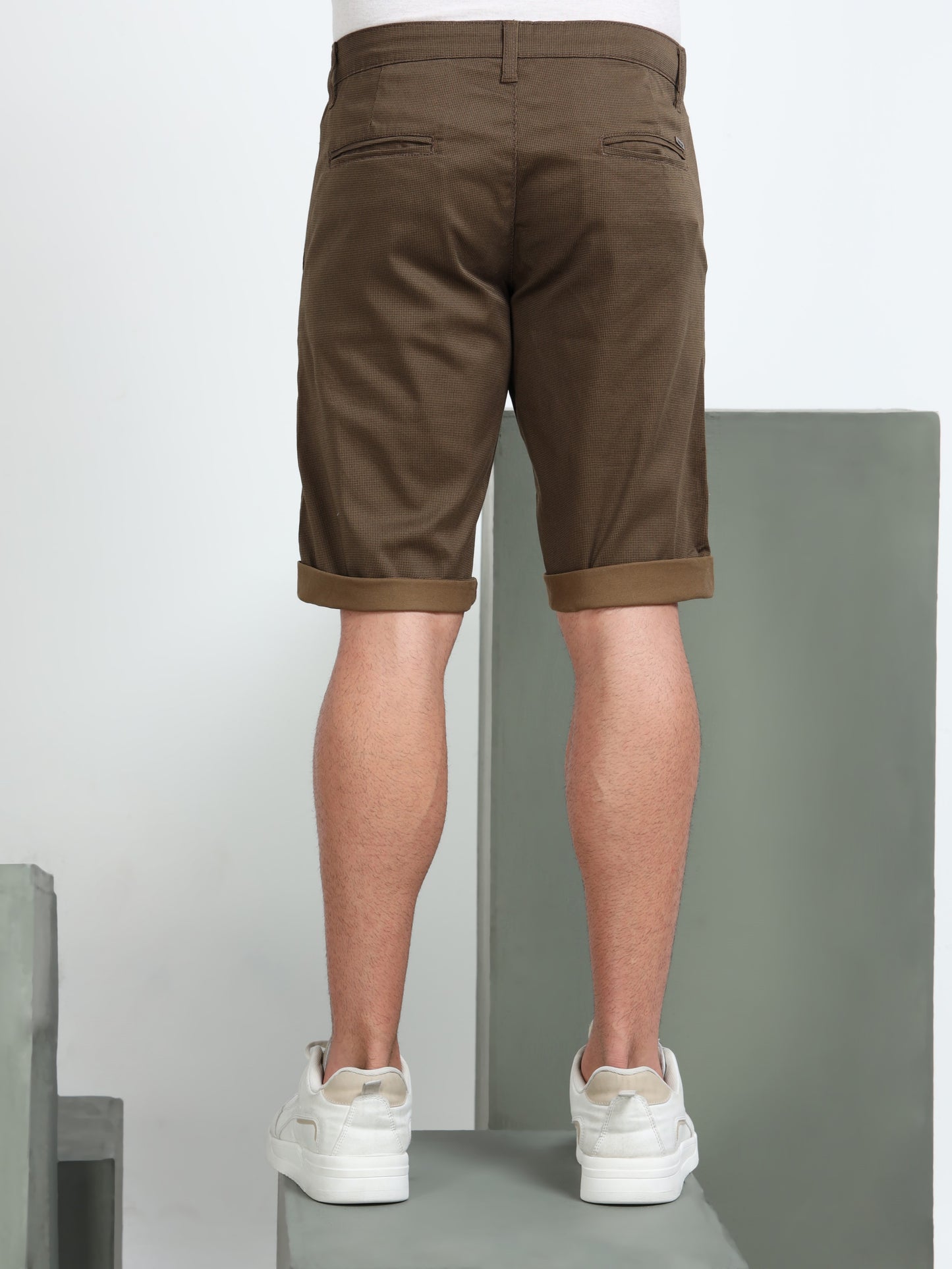 Men Brown Regular Shorts