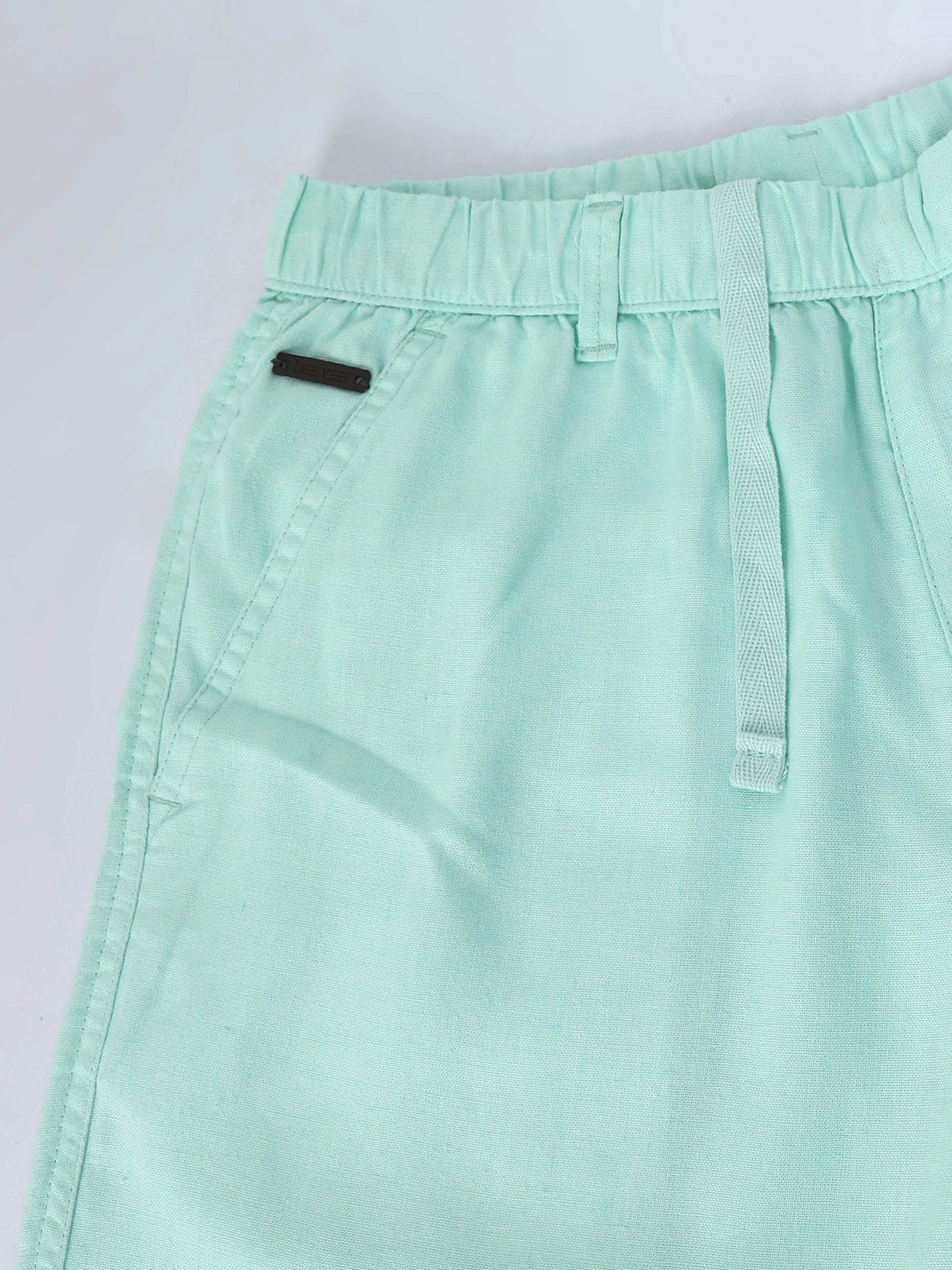 Light Mint Casual Linen Blend Shorts